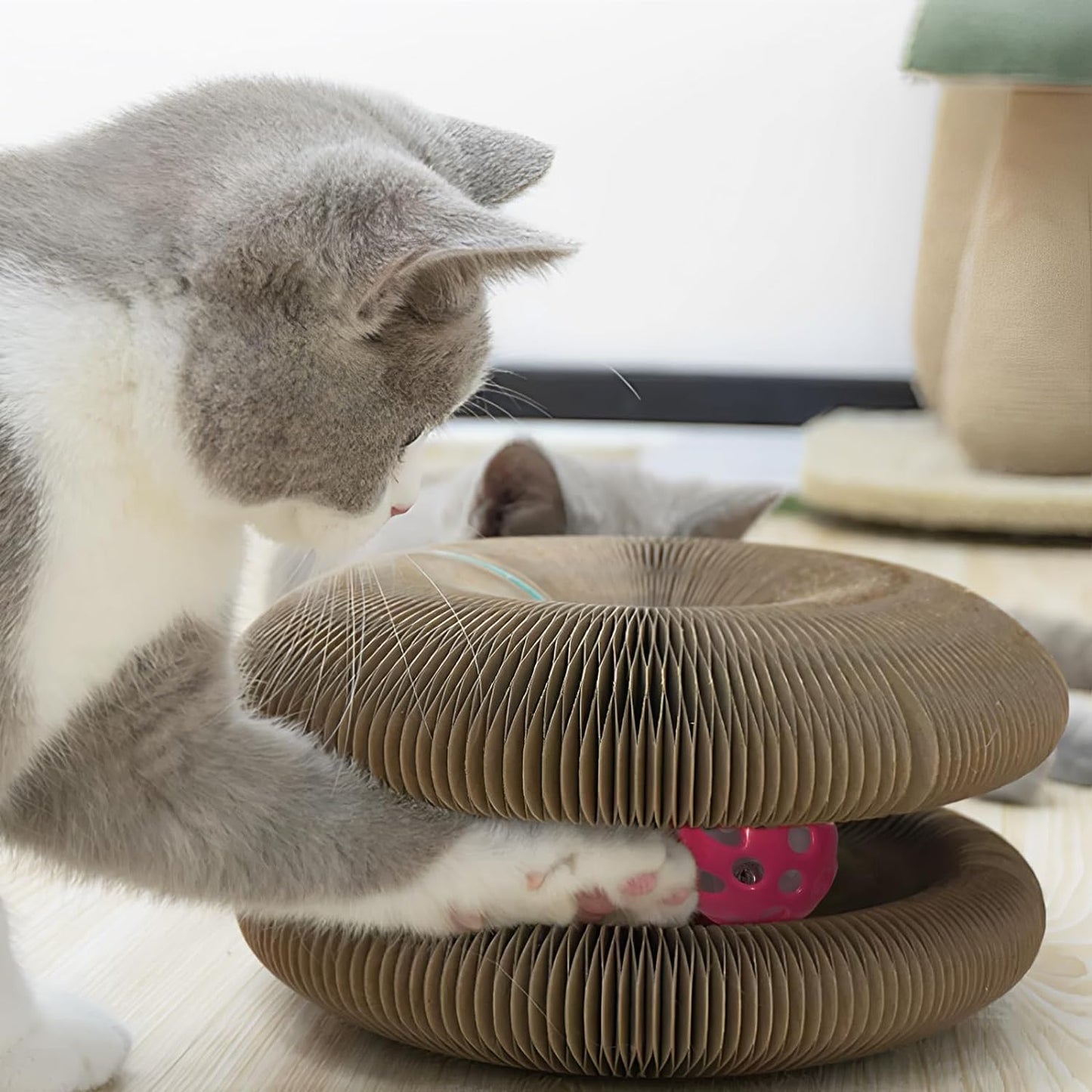 Cat Scratching Board