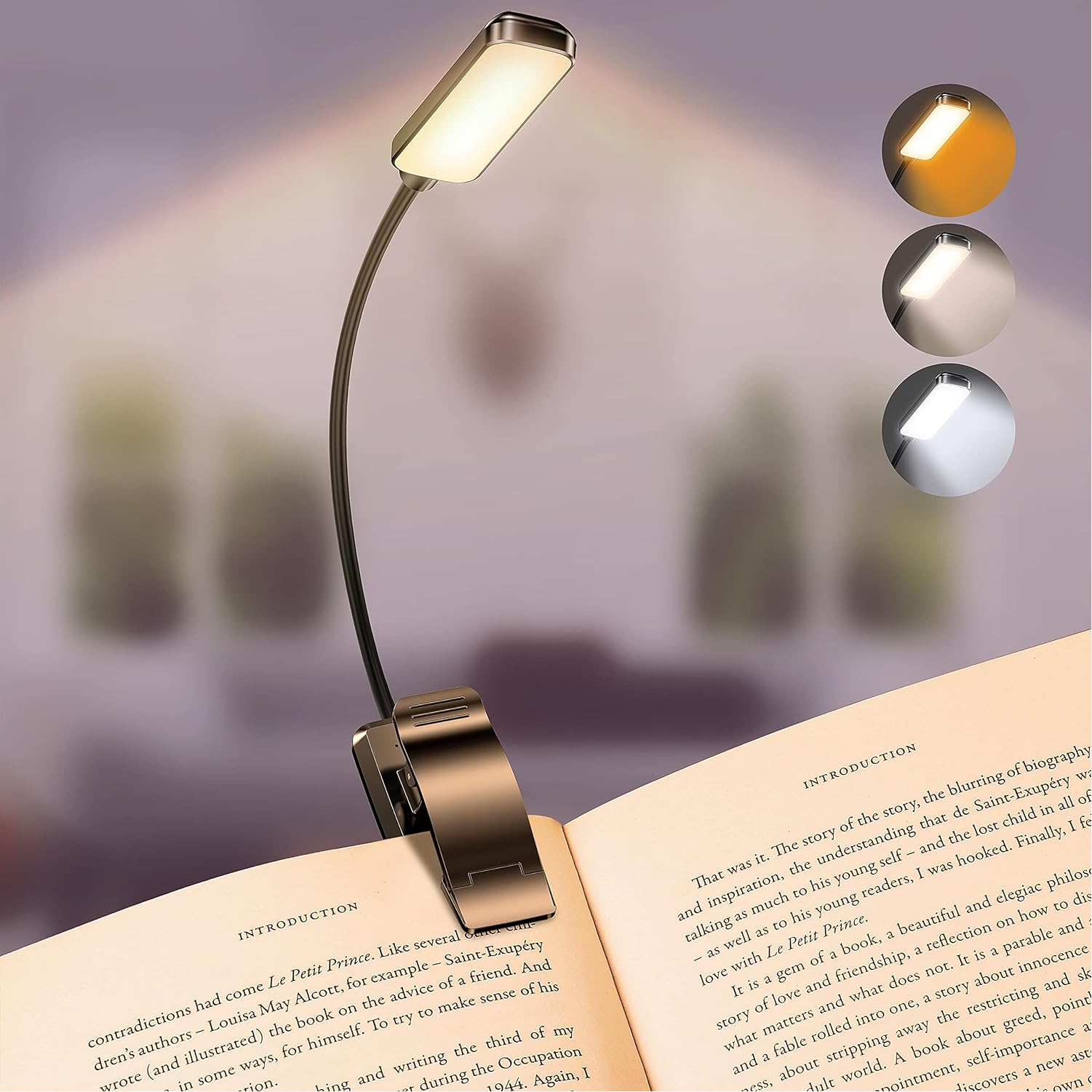 Rechargeable Light