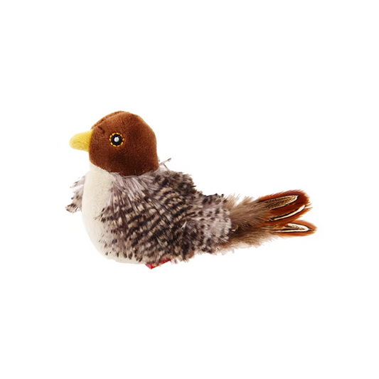 Melody Chaser Bird (Pet)