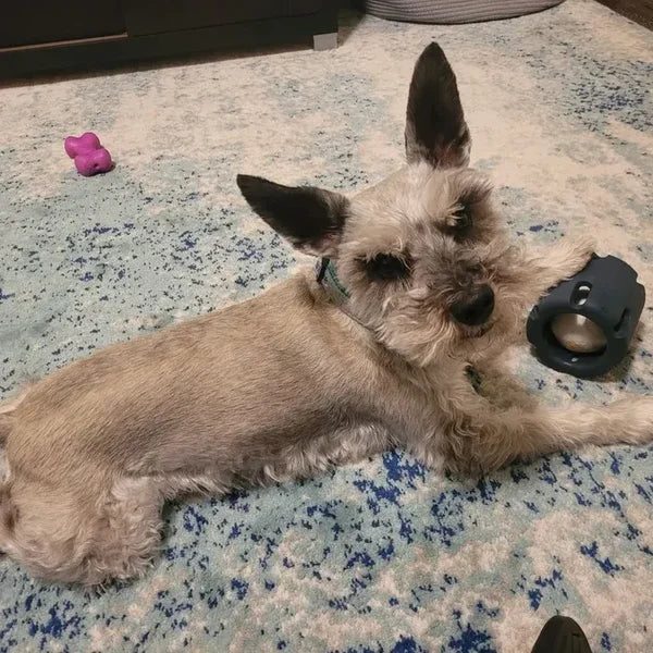 Tumble Puzzle Toy