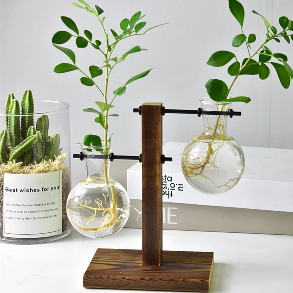 Terrarium Transparent Bulb Vase 