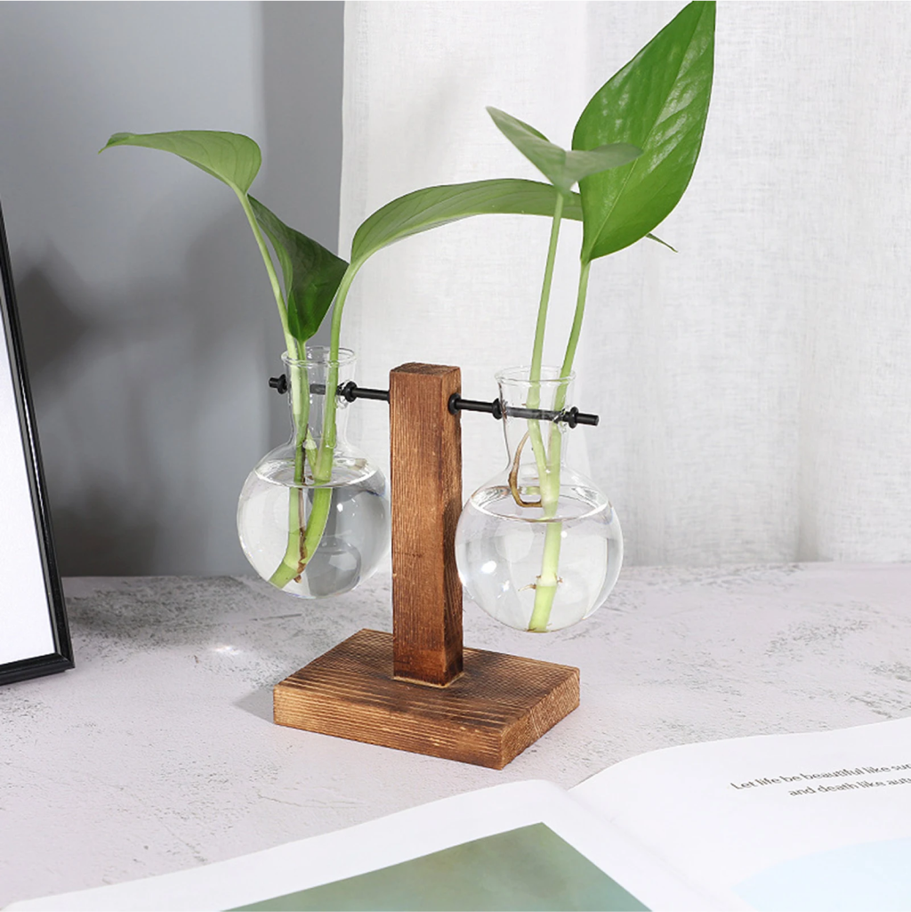 Plant Terrarium Transparent Bulb Vase 