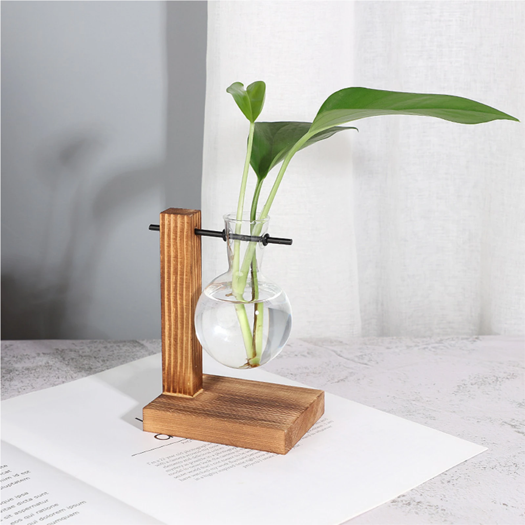 Plant Transparent Bulb Vase 