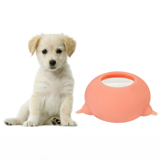 Baby Pet Feeding Bowl